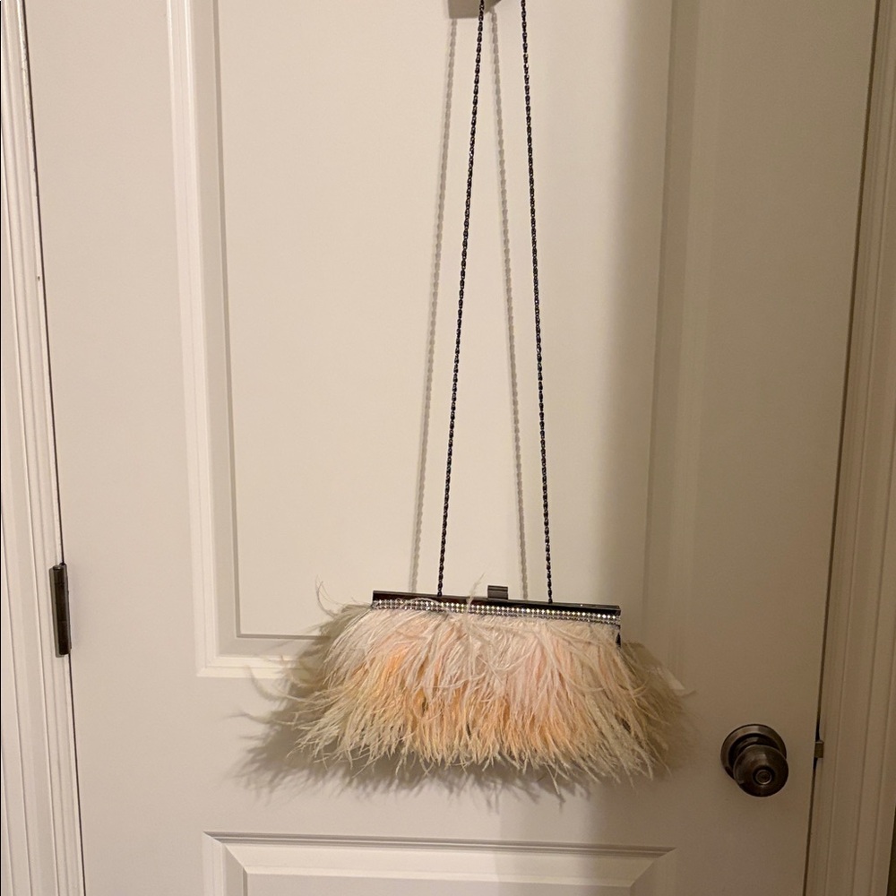 Feather Fringe Evening Clutch - Peach Ombre